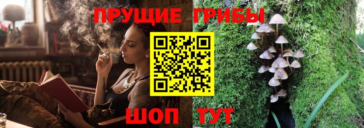 Дзержинск  Псилоцибиновые грибы Psilocybe  Вход с VPN 